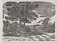 xilografía en cuerpo de texto de un bosque y el mar al fondo.