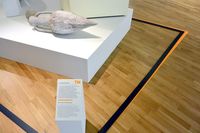 Graphisme de l’exposition “Théo Mercier, Pièces rapportées” 2017, Musée de l’Homme, Palais de Chaillot, Paris