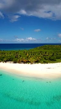 Need a vacay? Plan your best vacation EVER on a Virgin Islands sailing charter! Perfect for honeymoons, family vacations, bachelorette parties & more. Get tips for the easiest way to book a charter with Airbnb + hacks for sailing on a budget & day trips. Includes the top sights of the USVI & BVI for your itinerary! US Virgin Islands vacation | Virgin Islands sailing | US Virgin Islands things to do | US Virgin Islands Airbnb | St Thomas Virgin Islands Airbnb | British Virgin Islands sailing