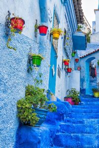 You want to travel but not sure to visit Egypt or Morocco? Don't miss this exclusive post comparing Egypt VS. Morocco form different aspects.