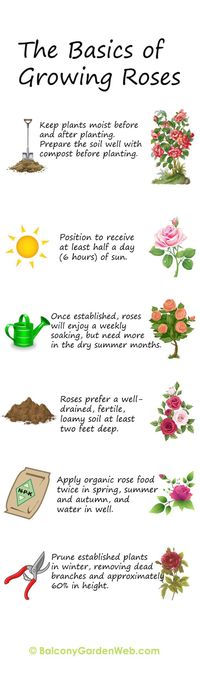 Gardening Tips For Planting Vegetables both Gardening Tips For May And June against Gardening Tips For Beginners Vegetables at Gardening Tips For February & Gardening Tips For Small Spaces