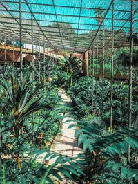 5 lieux a ne pas manquer a Lisbonne - estufa fria jardin botanique lisbonne
