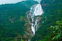 Dudhsagar Waterfalls - Google Search