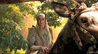 my curiosity (meeting in Mirkwood)