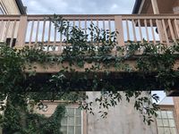 Lush greenery added to the Race + Religious bride for the garden wedding ceremony by Leaf + Petal NOLA