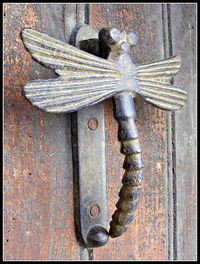 Dragonfly Knocker ~ via mahala