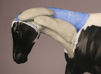 Don't Eat the Paint Blog: how to sculpt a horse's neck accurately according to muscle structure.