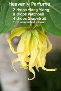Very Helpful Essential Oil Patchouli Strategies For Patchouli Essential Oil