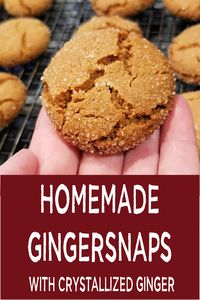 Ginger Snaps Recipe - Books, Cooks, Looks