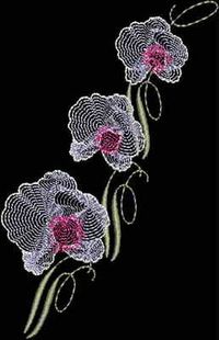 ripple orchid