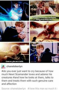 Fantastic Beasts And Where To Find Them