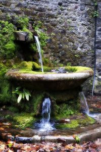 Lismore Castle Water Feature by Wayne.Brown