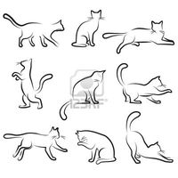 cat vectors