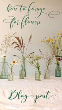 foraging for grass and other flowers, finding free flowers, conditioning flowers