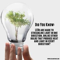 Did You Know: LEDs are made to streamline light in one direction, unlike other bulbs that produce heat and light in every direction?