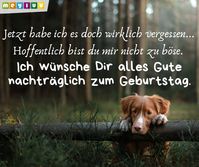 Nachträglich, 🕯️ alles Gute zum Geburtstag! ~ Bilder