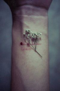 Con amor