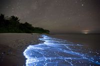 27-lugares-que-habria-que-visitar-antes-de-morir-mar-estrellas-isla-vaadhoo-maldivas