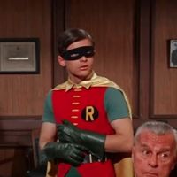 robin 1966 icons