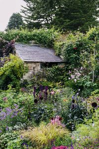 Libby Russell's Batcombe garden | House & Garden