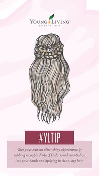 Give your hair an ultra-shiny appearance by rubbing a couple drops of Cedarwood essential oil into your hands and applying to clean, dry hair. #YLtip #essentialoils #haircare #yleo