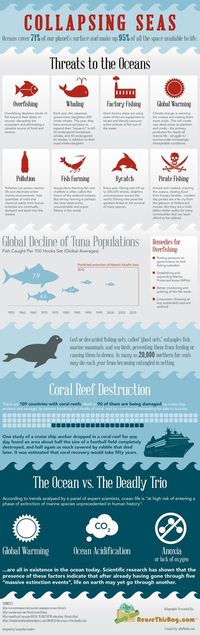 Why our #seas are collapsing. #environmentalism #fishing