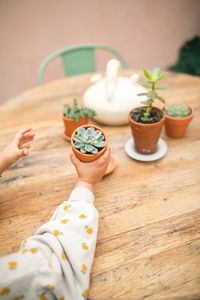 Patio interior con plantas, cactus y suculentas.