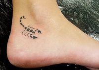 simple scorpion tattoo drawings - Google Search