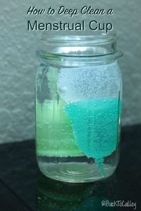 Deep Clean Menstrual Cup