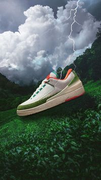 Nike Air Jordan II