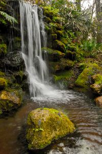 Rainbow Springs is a Florida State Park that was once an amusement park. The park offers intriguing ruins, cascading waterfalls, and numerous outdoors activities. #floridastateparks #waterfalls #Florida www.beyondtheo.com