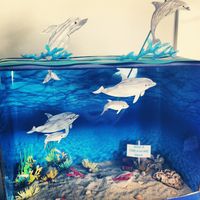 Ava's Ocean Diorama. Bottlenose Dolphin. Ocean Life. Under the Sea.