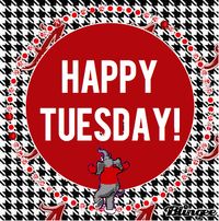 Happy Tide Tuesday!