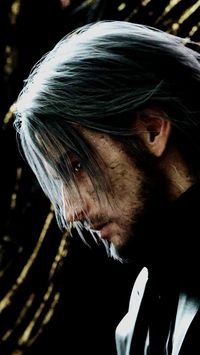 Noctis Lucis Caelum