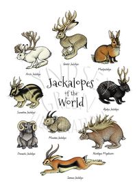 This is an A4 (29.7 x 21 cm) inkjet print of my original Jackalopes of the World illustration, from my Jackalopia zine. The Jackalopia zine