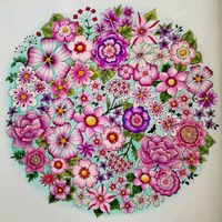 NicolaW69 - 22-01-2019 Johanna Basford Colouring Gallery Johanna Basford