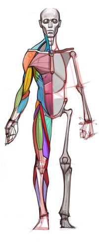 figuredrawing.info_news