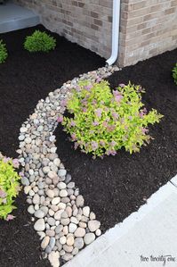 Consider this crucial photo and have a look at the here and now information and facts on Riverbed Landscaping