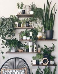 Trendy Kitchen Wall Plants Interior Design 59+ Ideas #kitchen #plants