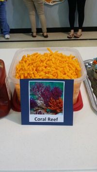 vbs 2016 Submerged food More