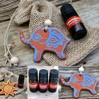 Marie Wingate on Instagram: "I’m back from my India adventure & working on photography & listing work for sale today! These terra cotta elephant & sun essential oil diffusers are especially designed for your car or small spaces & there is an option to add 5ml of essential oil to your order! Stop by my website or Etsy store to grab yours before they sell out! (Website link in bio) #earthformsbymarie #essentialoils #oildiffuser #handmadewithlove #elephantlove #mendhiart #carairfreshener #terracott
