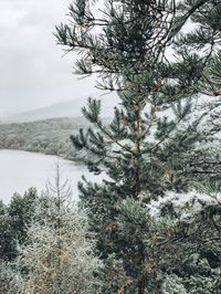Roadtrip in Schottland - durch die Highlands