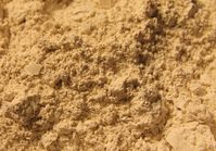 How to Use Food Grade Diatomaceous Earth to Eliminate Parasites in Humans and Animals — Steemit