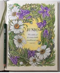 Beautiful June coloured by @raquelpeiretti from The Flower Year ♥️♥️♥️