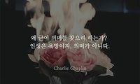 See this Instagram photo by @bbong8611 • 3,356 likes