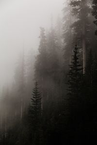 Download this photo in United States by David Moum (@davidmoum)