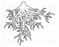 Roots Outline #3 SVG, Roots SVG, Tree Roots Svg, Family Svg, Roots Clipart, Roots Files for Cricut,