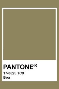 PANTONE 17-0625 TCX Boa #pantone #color