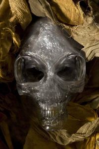 The Crystal Skull of Akator from Indiana Jones and the Kingdom of the Crystal Skulls 2008