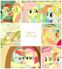 flutterdash | Tumblr